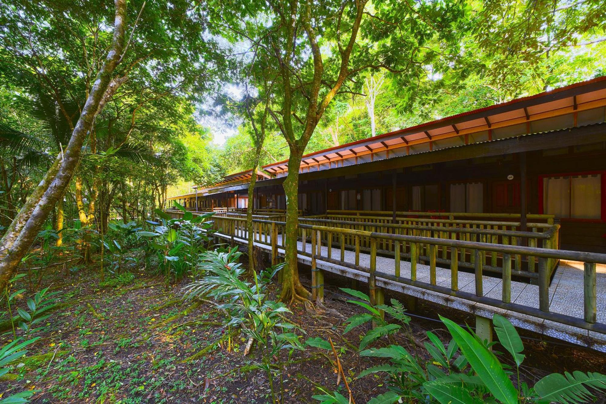 טורטוגוארו Evergreen Lodge מראה חיצוני תמונה