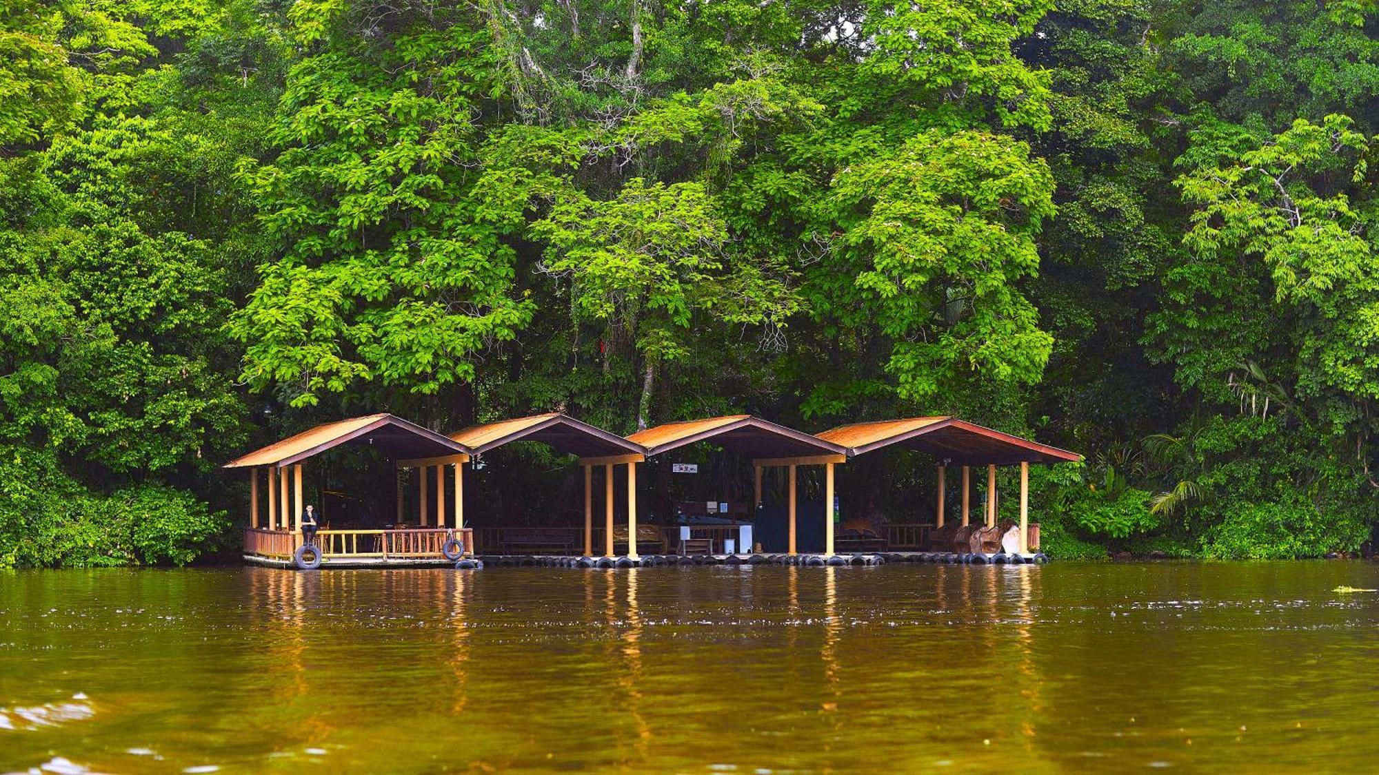 טורטוגוארו Evergreen Lodge מראה חיצוני תמונה