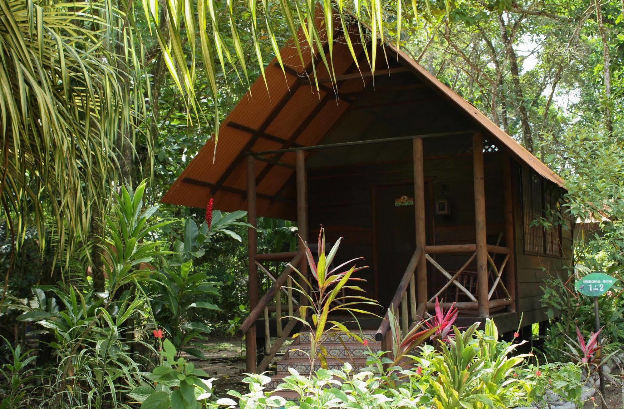 טורטוגוארו Evergreen Lodge מראה חיצוני תמונה