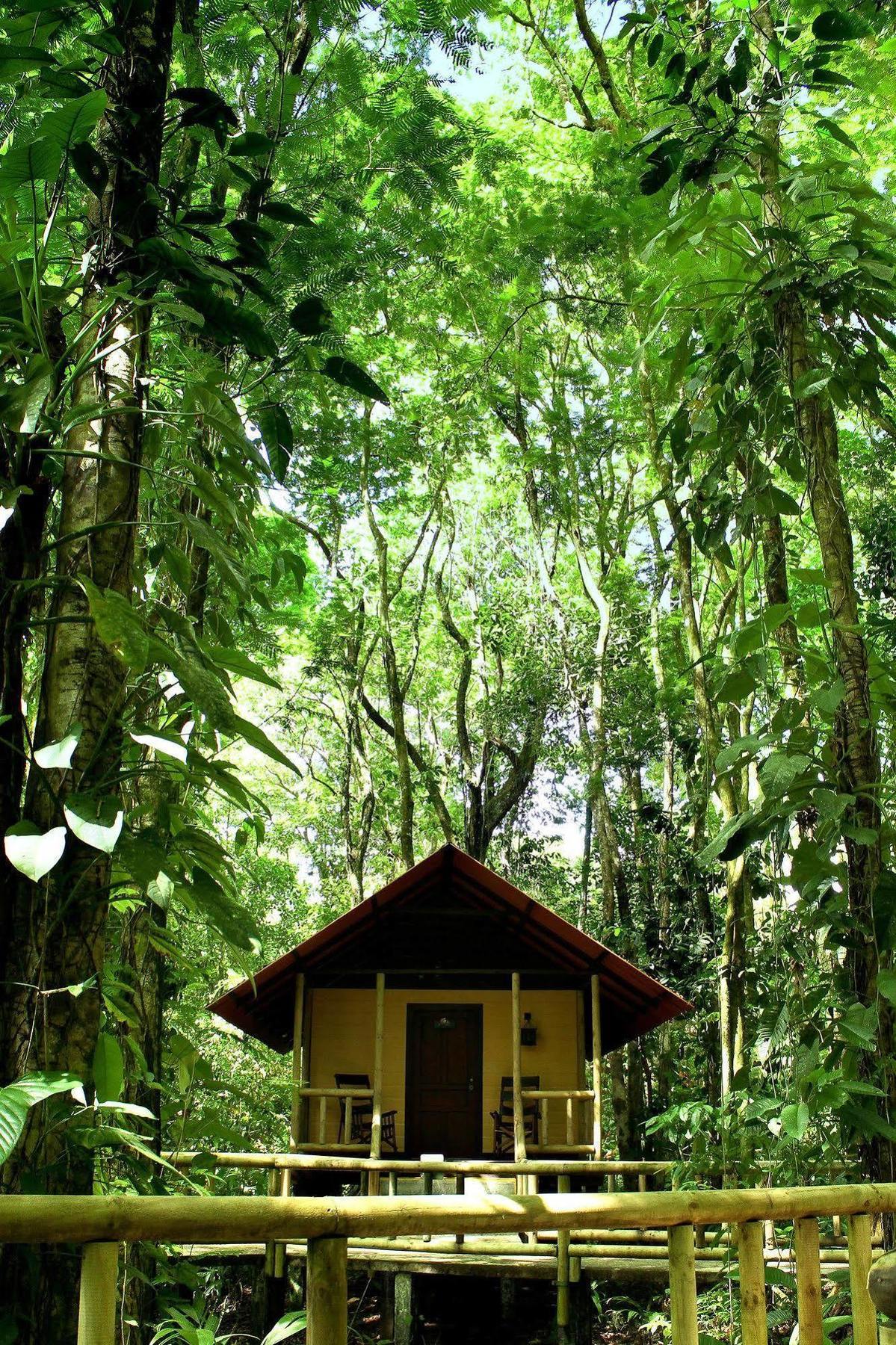טורטוגוארו Evergreen Lodge מראה חיצוני תמונה